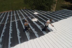 roof-coating-2846279_1920